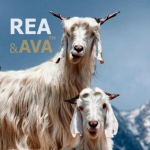 Rea-ava